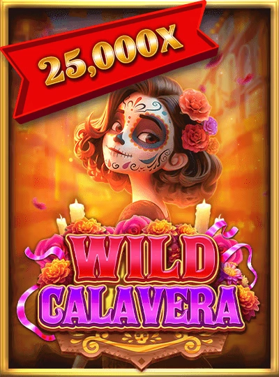Live blackjack game cover on jp77